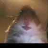 Profile Picture of Jonas Hansen (@@jonashansen38) on Tiktok