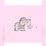 Profile Picture of Emily (@emilylauraclausen) on Instagram