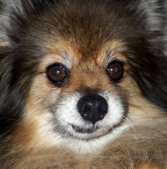 Profile Picture of Gay Nichting (@gnichting) on Poshmark