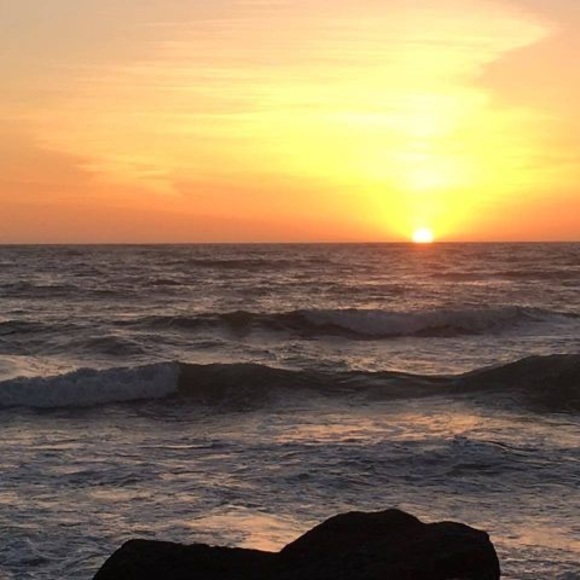 Profile Picture of Sherry Deng (@xdeng33) on Poshmark