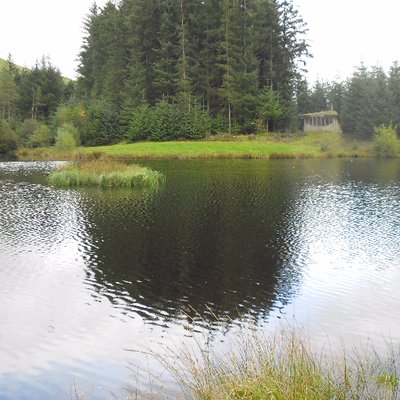 Profile Picture of Viviandavies (@daviesvivian034) on Twitter