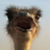 Profile Picture of Laurie Pendleton (@Laurie Pendleton2011) on Flickr