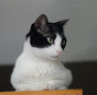 Profile Picture of Alan Schneider (@@rua236) on Tiktok