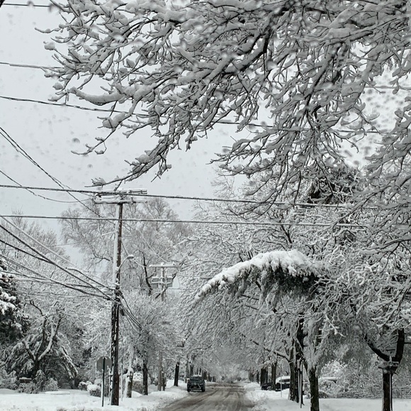 Profile Picture of Leah Mermelstein (@leahn82) on Poshmark