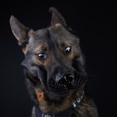 Profile Picture of Boydski (@DylanBoydFleury) on Twitter