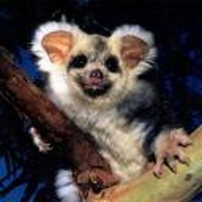 Profile Picture of Ernest Coleman (@ErnestC12) on Twitter