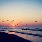 ahmad - Instagram Profile Picture of ahmad (@eng.ahmad_ashraf_nassar) on Instagram