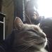 Profile Picture of Glenn Sinclair (@glenn.sinclair.338) on Facebook