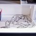 Profile Picture of J Luis Pinet (@MUTANDO) on Pinterest