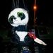 Profile Picture of KIRAN REHMAN (@kiran3562) on Pinterest