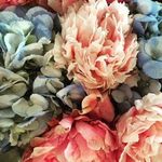 Profile Picture of Alison Knop (@arrangements_by_alison) on Instagram