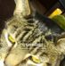 Profile Picture of Kay Harker (@kay.harker.714) on Facebook