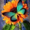 Profile Picture of Krista Kerns685 (@@user7465881291740) on Tiktok