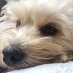 Profile Picture of Nicholas Osborne (@nickosborne06) on Instagram