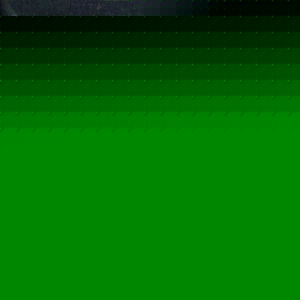 Profile Picture of Rita Barasch (@goldstar608) on Myspace