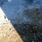 Profile Picture of cicio mihail (@mihailcicio) on Instagram