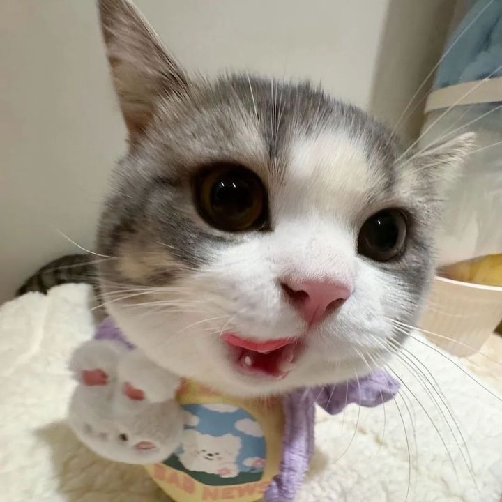 Profile Picture of cynthia (@@holyscorpi) on Tiktok