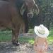 Profile Picture of David Eanes (@daveeanes) on Pinterest