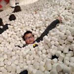 Profile Picture of Alvin Liang (@alvin._.0fficial) on Instagram