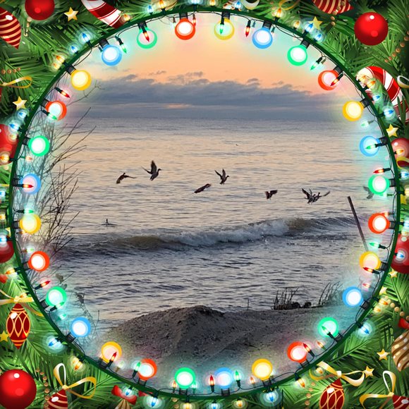 Profile Picture of Kathleen Bayerl (@kbayerl) on Poshmark