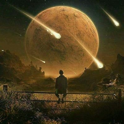 Profile Picture of Basil_hawkins (@FelixWagner99) on Twitter