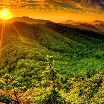 Profile Picture of Florence (@florencemark005) on Tiktok