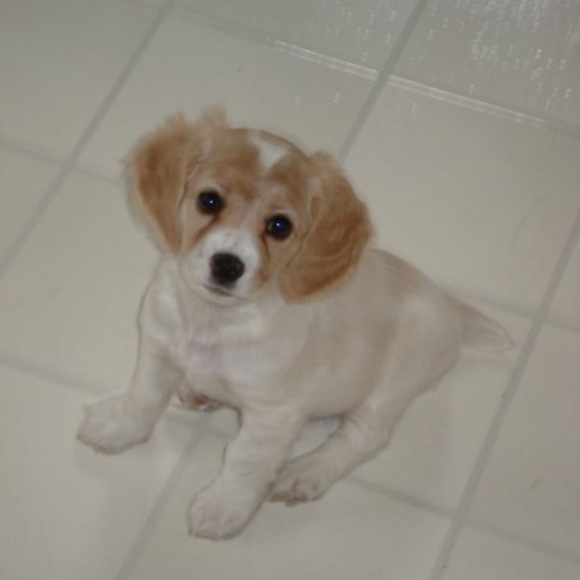 Profile Picture of Toni Savoy (@tonisavoy83) on Poshmark