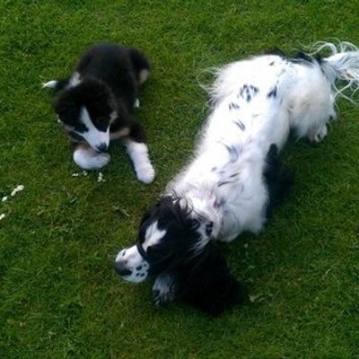 Profile Picture of Kei Taniguchi (@keios80) on Twitter