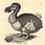 Profile Picture of Dodo05 (@dodo05) on Flickr