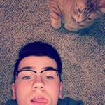 Profile Picture of Gloria Börger (@kevin.from.bowling.league) on Instagram