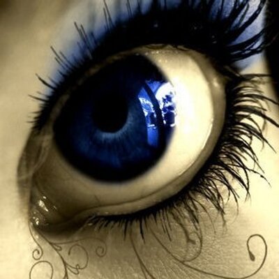 Profile Picture of Pam Testa (@pambythesea) on Twitter