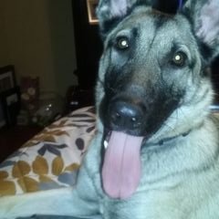 Profile Picture of Pamela Barfield (@1PamelaBarfield) on Twitter