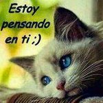 Profile Picture of Fausto Sandoval (@fausto.sanchez.con) on Instagram