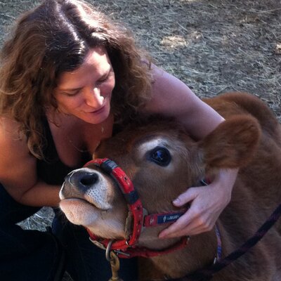 Profile Picture of Donna Jason (@DonnaJason62) on Twitter