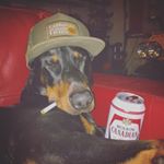 Profile Picture of Travis Swain (@travisswain) on Instagram