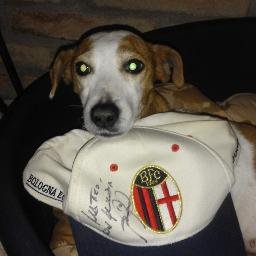 Profile Picture of EZIO TUGNOLI (@EzioTugnoli) on Twitter