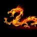 Profile Picture of Mr Dragony (@brianmartinez011805) on Pinterest