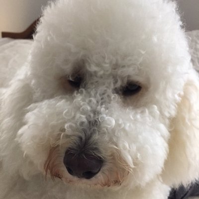 Profile Picture of Tonya Moore (@tcrmoore) on Twitter