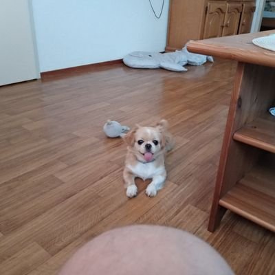 Profile Picture of Mirosław Łukiewski (@MUkiewski) on Twitter