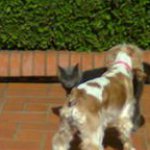 Profile Picture of Victoria Mackenzie (@macksalivicky) on Instagram