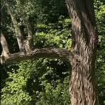 Profile Picture of Dobrică Clara (@Dobrică-Clara) on Facebook