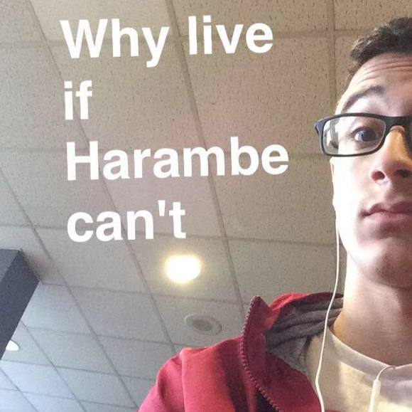 Profile Picture of Andrew Dimatteo (@dimatt) on Poshmark