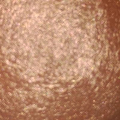 Profile Picture of Albert Wolf (@AlberRock94) on Twitter
