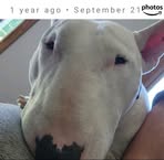 Profile Picture of Robert Wiencek (@robert.wiencek.18) on Facebook