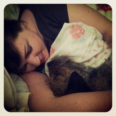 Profile Picture of Lisa Topley (@brightlightlisa) on Twitter