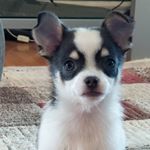 Profile Picture of Nancy (@nancygenest113) on Instagram