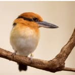 Profile Picture of Will Bartmess (@Will-Bartmess) on Facebook