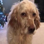 Profile Picture of Martyn Phillips (@martyn.phillips.790) on Instagram