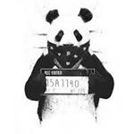 Profile Picture of jaden brad albertyn (@jadenbradalbertyn) on Instagram
