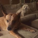 Profile Picture of Janet Savastano (@janetsavastano) on Instagram